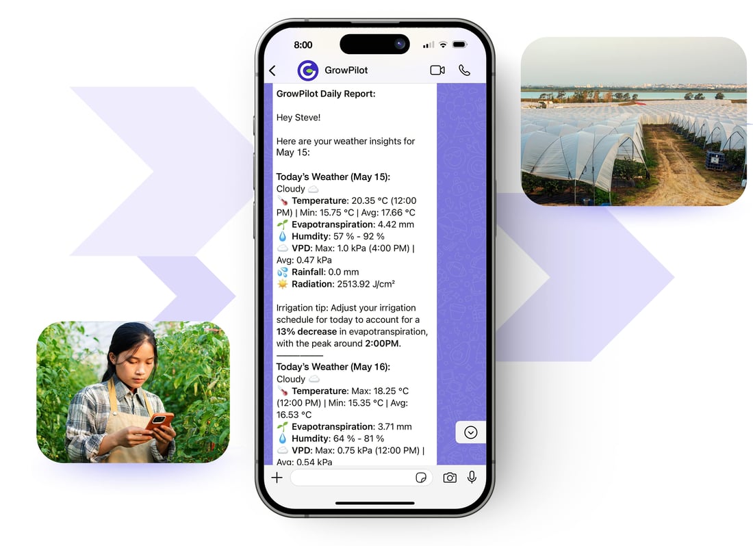 GrowPilot weather report on WhatsApp GrowPilot weather report on WhatsApp