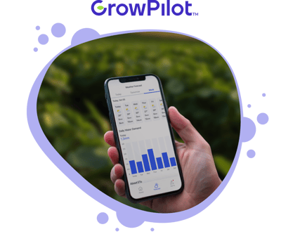 GrowPilot hero GrowPilot hero