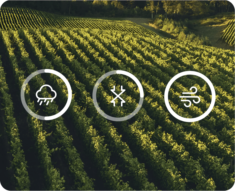 Growpilot feature image 1