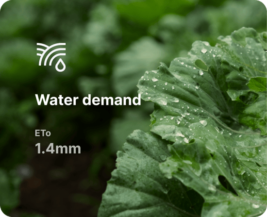 Growpilot feature image 2 Growpilot feature image 2