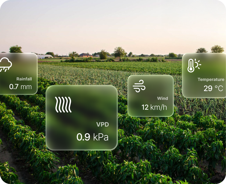 Growpilot feature image 3